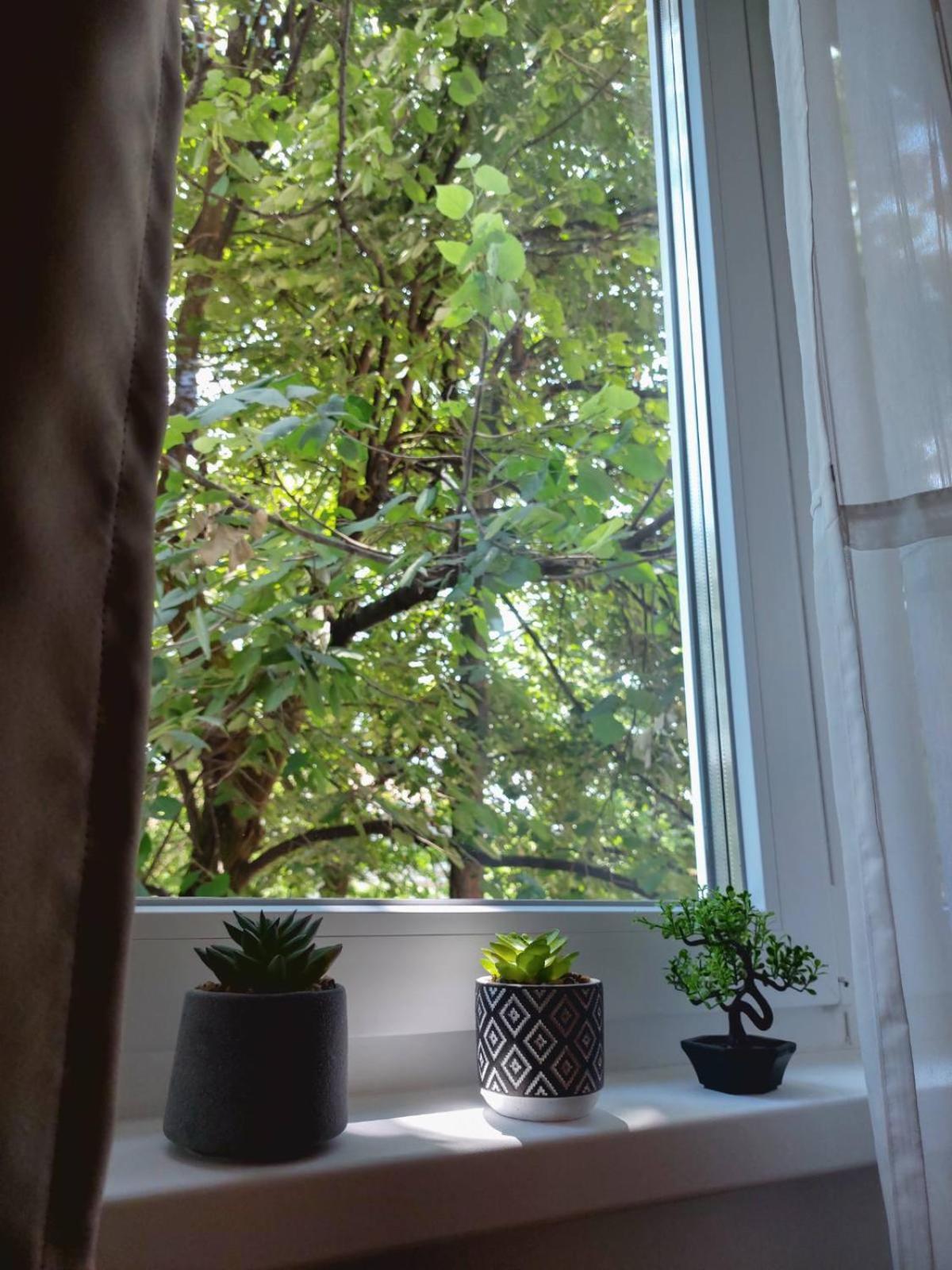 Apartman Rejna Sarajevo Luaran gambar
